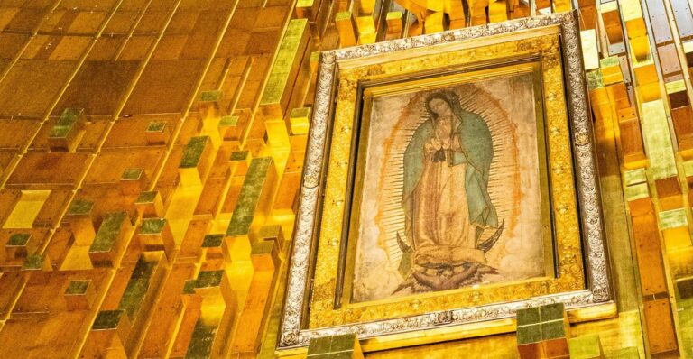 Project Guadalupe